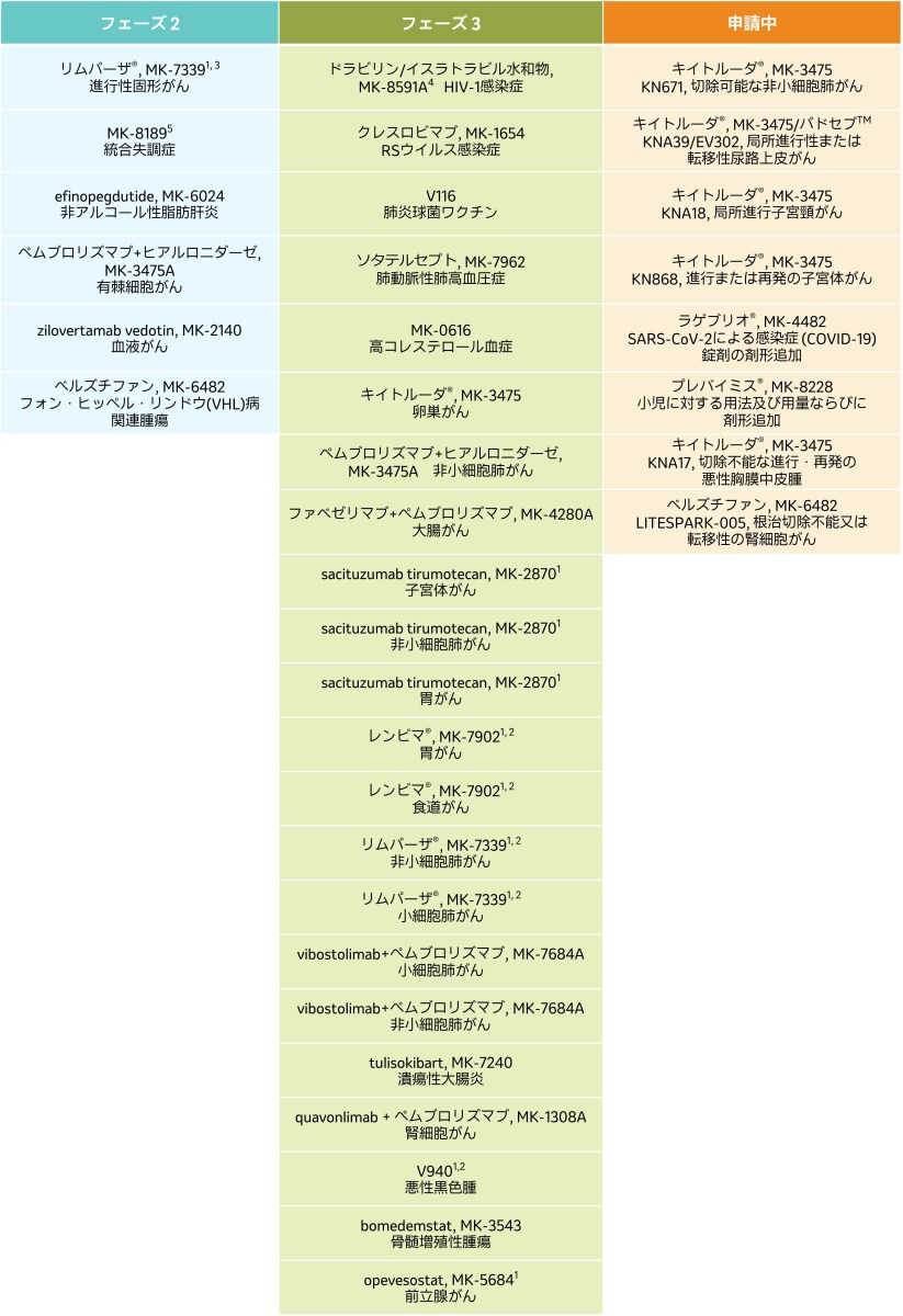 日本での開発パイプライン